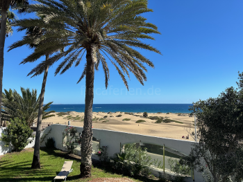 Palmengarten mit Meerblick